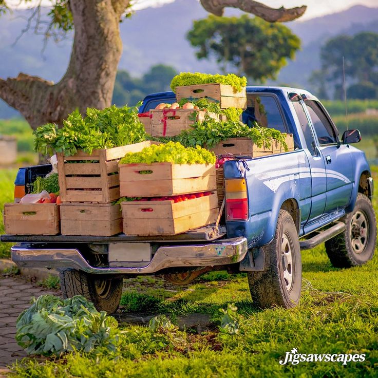Agri Marketing Course