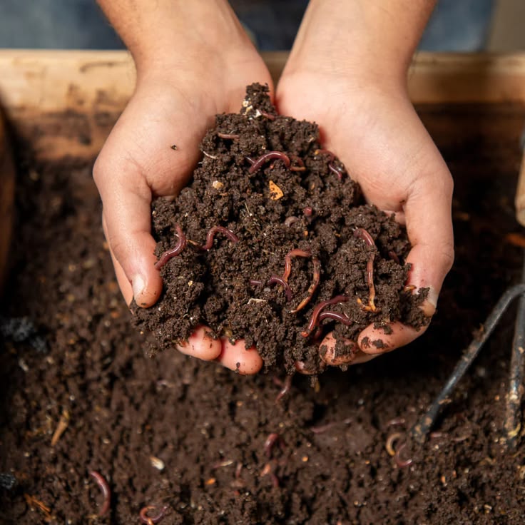 Vermicomposting Course