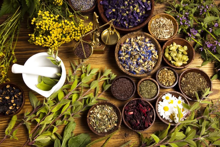 Medicinal Plants Course
