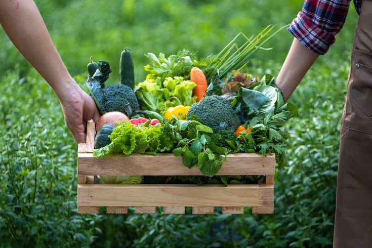 Organic Farming Contest